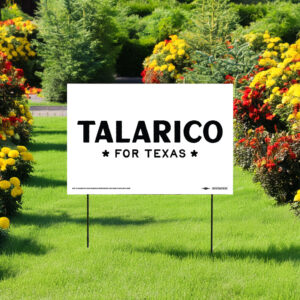 Talarico For Texas Yard Sign