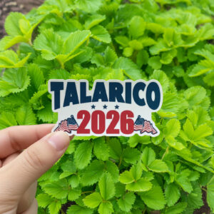 Talarico 2026 Sticker USA Flag