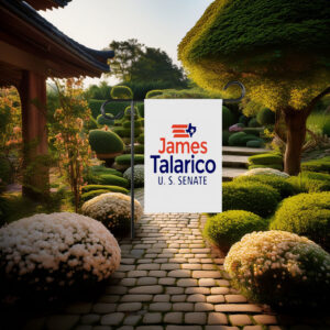James Talarico Senate 2026 Texas Flag