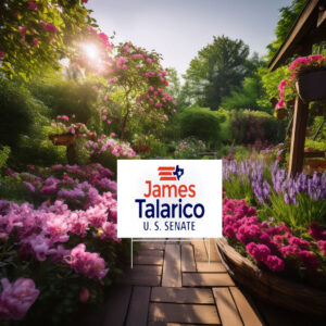James Talarico Senate 2026 Texas Yard Sign