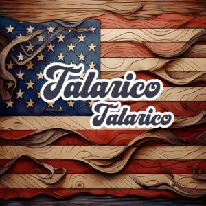 James Talarico Sticker