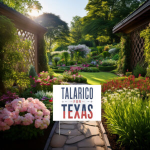 James Talarico for Texas Yard Sign