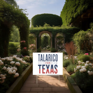 James Talarico for Texas Yard Sign
