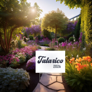 Talarico for TX Senate 2026 Yard Sign