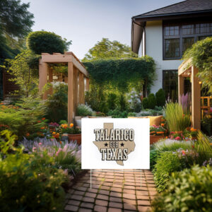Talarico for Texas Yard Sign