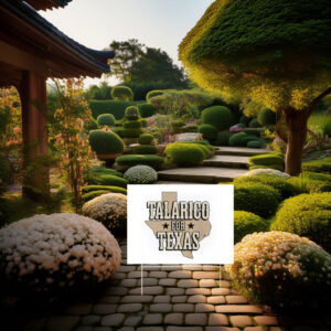Talarico for Texas Yard Sign