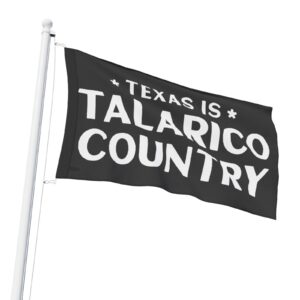 Texas Is Talarico Country Flag