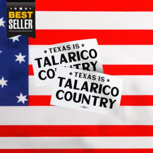 Texas Is Talarico Country Sticker