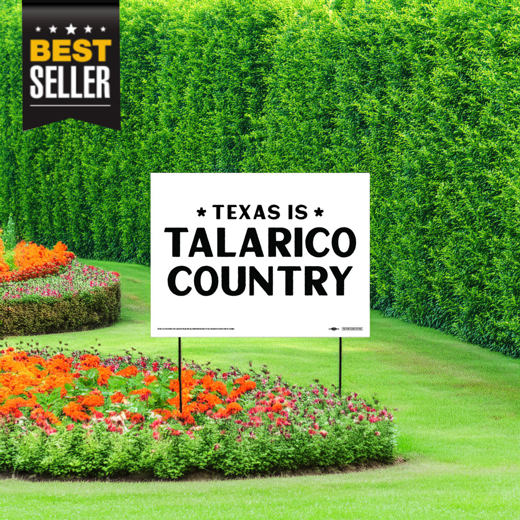 Texas Is Talarico Country Yard Sign