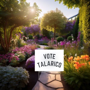 Vote Talarico Yard Sign