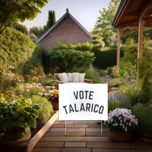 Vote Talarico Yard Sign