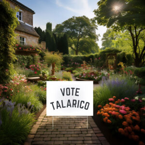 Vote Talarico Yard Sign