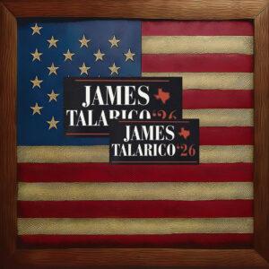 Vote Talarico for Texas 2026 Sticker