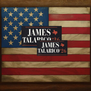 Vote Talarico for Texas 2026 Sticker