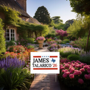 Vote Talarico for Texas Yard Sign