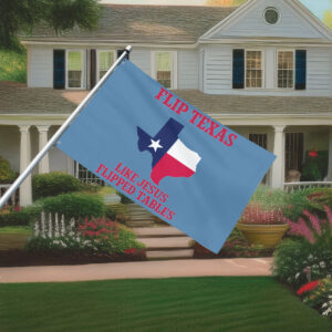 Flip Texas James Talarico, Liberal Texan Flag