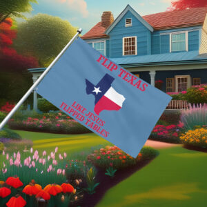 Flip Texas James Talarico, Liberal Texan Flag