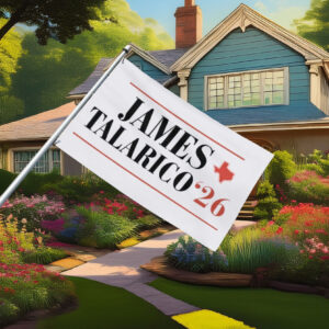 James Talarico 2026 Senate Flag