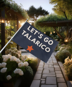 James Talarico for Senate, Vote Talarico Election Campaign Flag