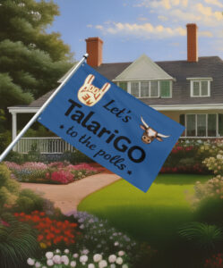 Let's TalariGO Hook Em Classic Flag