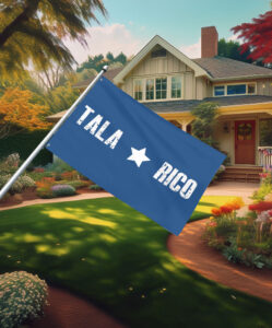 TALARICO James Talarico 2026 Flag
