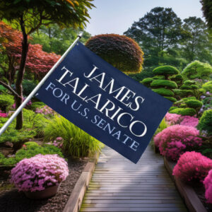 TX Midterms 2026 James Talarico for Senate Flag