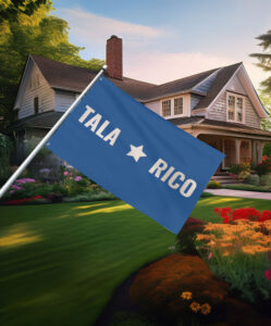 Talarico 2026 Texas Senate Campaign Flag