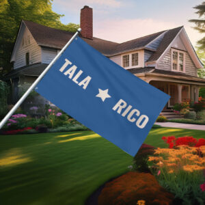Talarico 2026 Texas Senate Campaign Flag