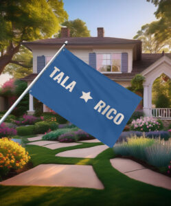 Talarico 2026 Texas Senate Campaign Flag