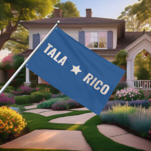 Talarico 2026 Texas Senate Campaign Flag