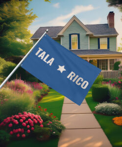 Talarico 2026 Texas Senate Campaign Flag