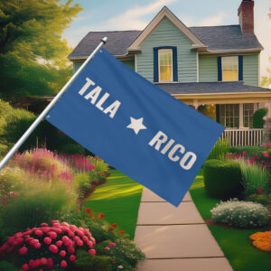 Talarico 2026 Texas Senate Campaign Flag