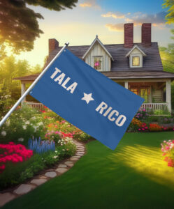 Talarico 2026 Texas Senate Campaign Flag