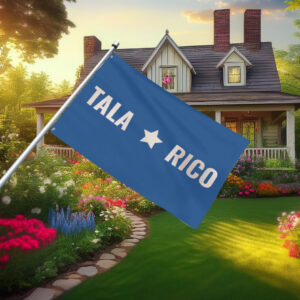 Talarico 2026 Texas Senate Campaign Flag