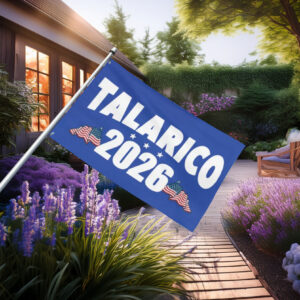 Talarico 2026 Texas Senate Flag