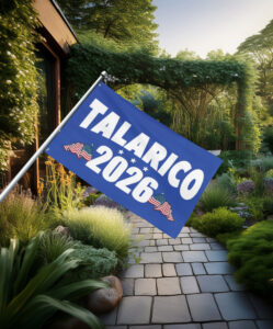 Talarico 2026 Texas Senate Flag
