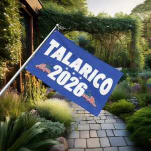 Talarico 2026 Texas Senate Flag