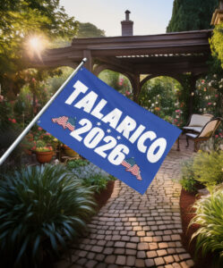 Talarico 2026 Texas Senate Flag