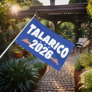 Talarico 2026 Texas Senate Flag
