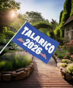 Talarico 2026 Texas Senate Flag
