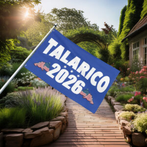Talarico 2026 Texas Senate Flag