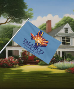Talarico for Senate 2026 Texas Sunrise Map Flag