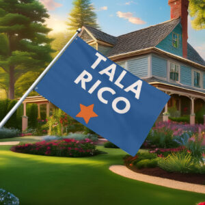 Talarico for Senate Bella Canvas 2026 Texas Flag