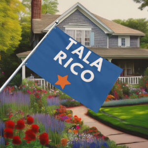 Talarico for Senate Bella Canvas 2026 Texas Flag