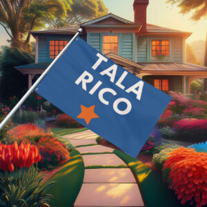 Talarico for Senate Bella Canvas 2026 Texas Flag