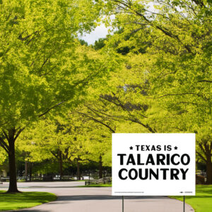 Texas Is Talarico Country Yard Sign