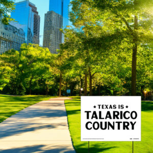 Texas Is Talarico Country Yard Sign