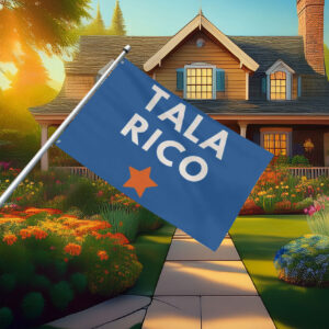 Vote James Talarico for Senate Election Flag