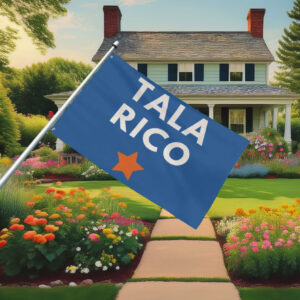 Vote James Talarico for Senate Election Flag