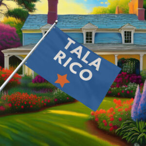 Vote James Talarico for Senate Election Flag
